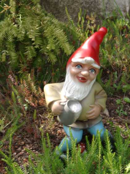 Hudelin in freier Wildbahn